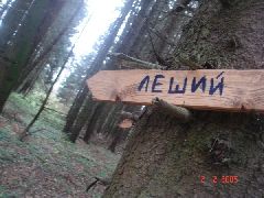  леший