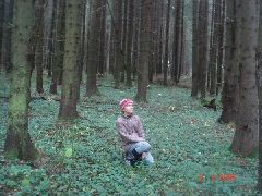 огромное пространство