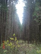 лучезарная фотография