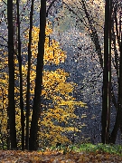  Осень