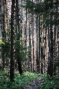 Пейзажи Красногорска