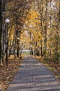  Осень