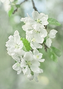  Весна