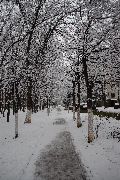  Зимняя дорожка.