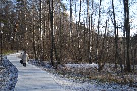  Дорога в лес