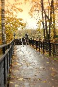  Дорогой в осень