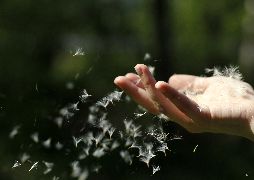 Природа Разлетелись