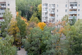  Вид на лес из окон домов